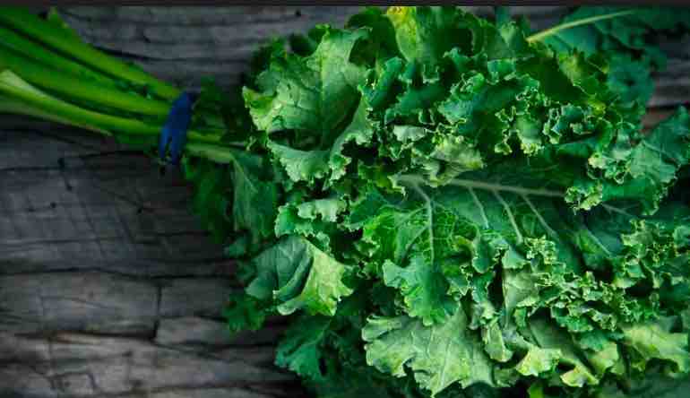 Is Kale Good For you - Kale leaves